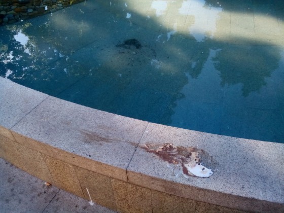 IMG_20160523_075109 (1)