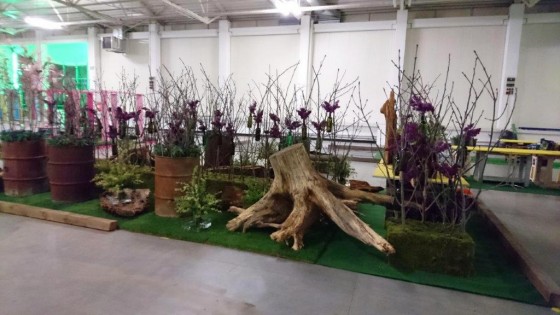 Predná časť expozície SOŠ Rakovice