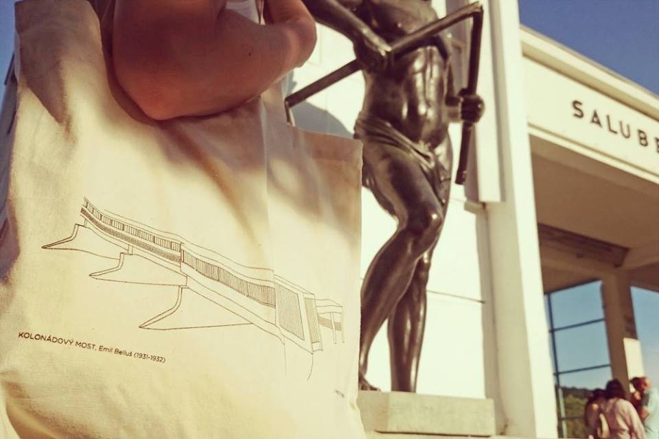 13327433_621649991334053_2163553351689782758_n