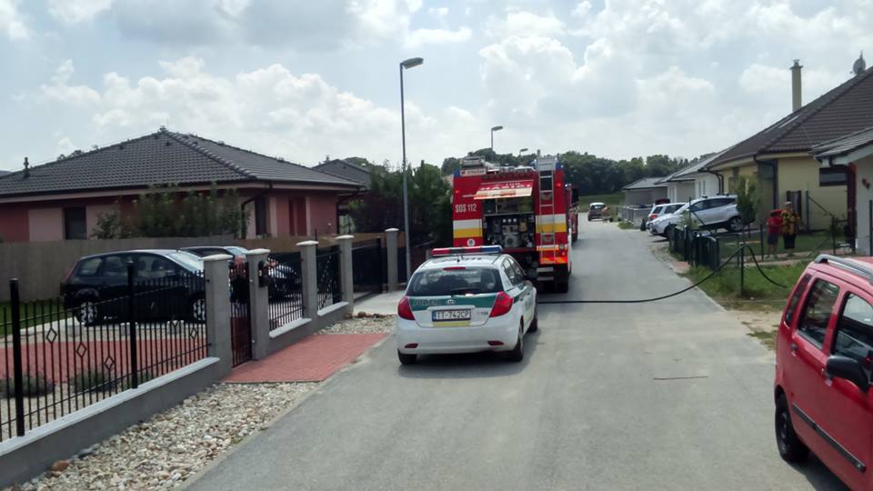 13669617_1257114561005640_6651741989919499431_n