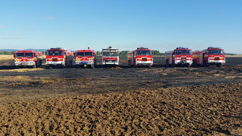 13692460_862263643907002_8303052166936155769_n