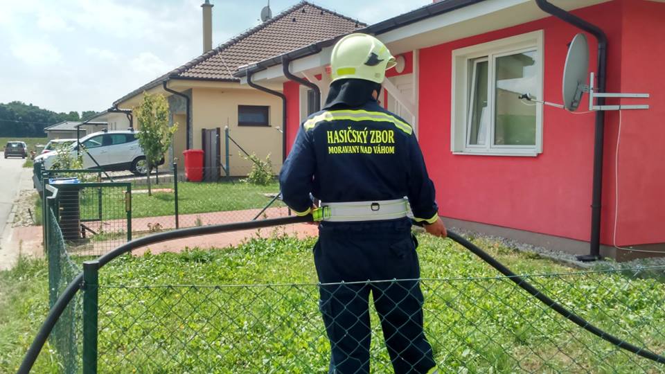 13886483_1257115541005542_4294393819889814267_n