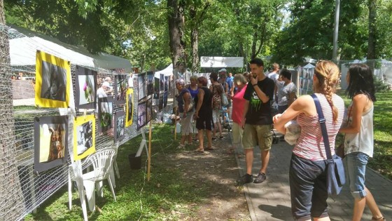 13879420_10154091204087949_6429839803434973672_n