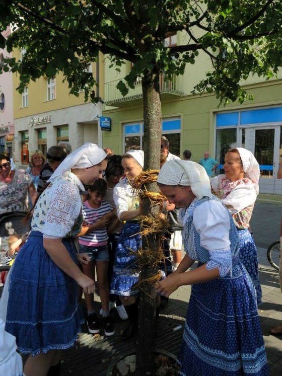 14138684_10208066134625283_4103190939752460324_o