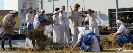 14188595_10208066146145571_1248359605082340443_o