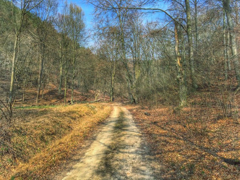 3abb66d58aa91d2b7b16f08ee38a95c0_XL