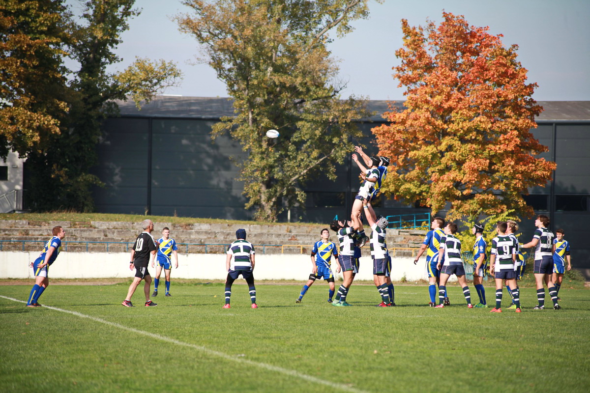 Rugby (3)