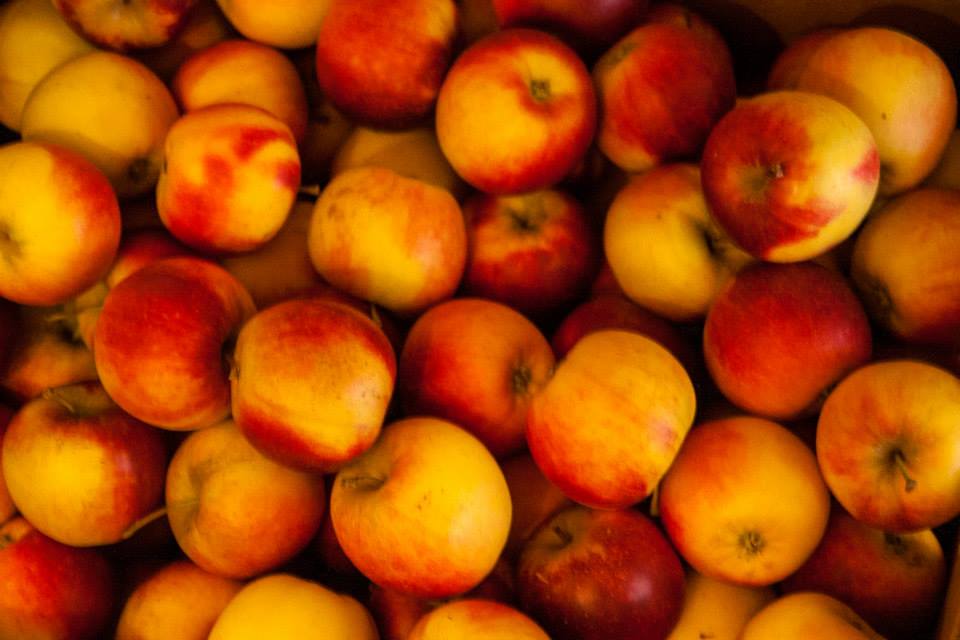 1455148_670050153016336_895116722_n