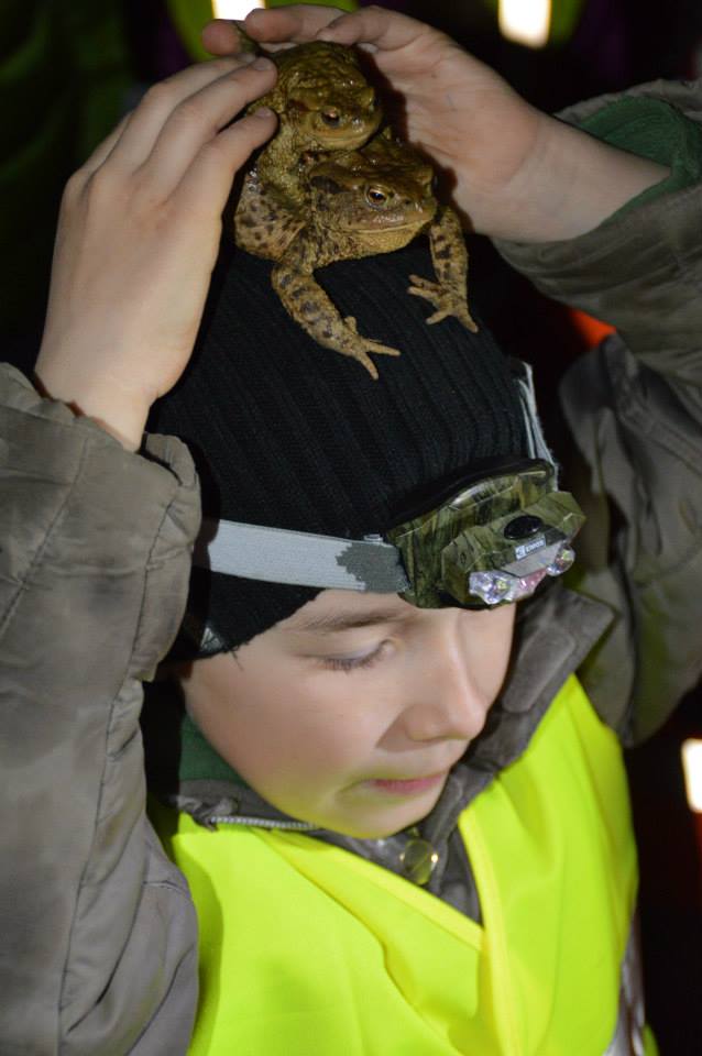 1507154_792073680869039_918226635689416597_n