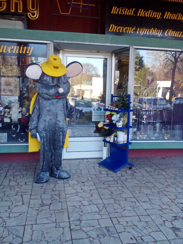 IMG_20161109_140657 (1)_resize