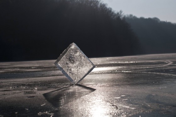 15966729_1320129894677115_825451221_o[1]