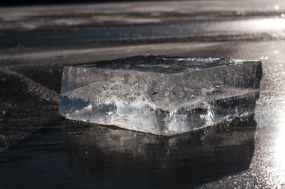 15966992_1320129918010446_1442208747_o[1]