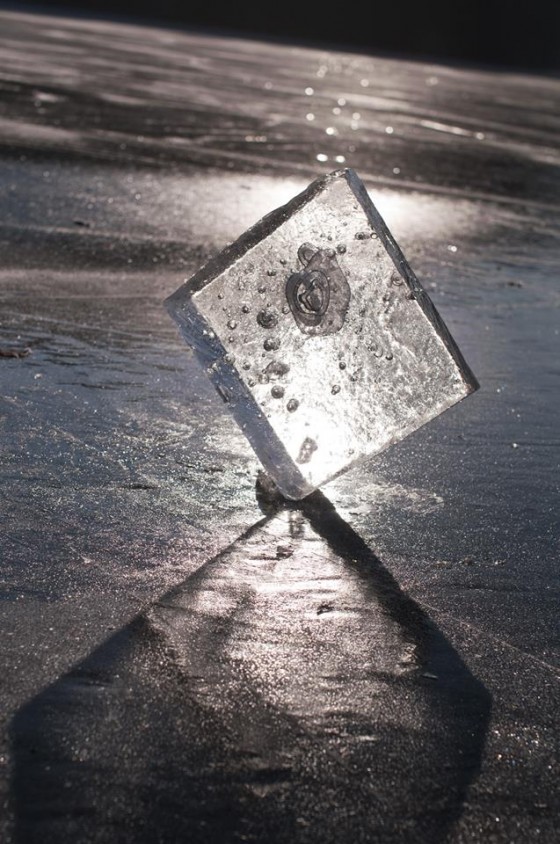 15979040_1320129948010443_1098719759_n[1]