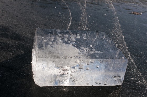 15991526_1320129928010445_1187731300_o[1]