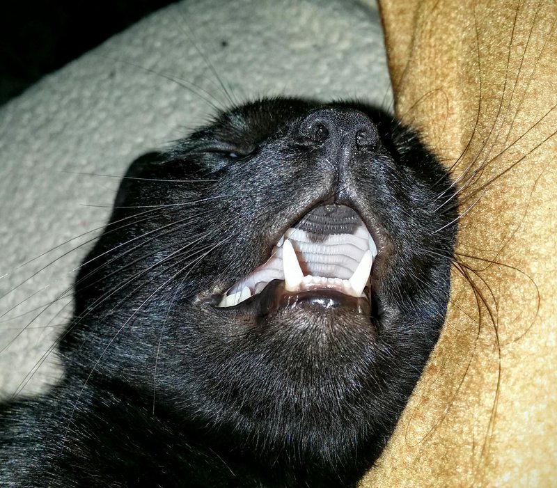 IMG_20160911_192417.width-800