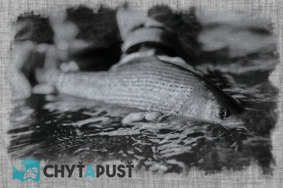 wChyt_a_Pust_foto1_design