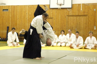 Tréning Aikido dojo