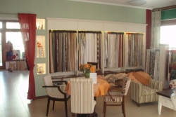 545807_217257601717049_825845079_n