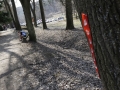 th_20120318_3253