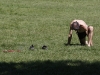 wth_20100822_8177