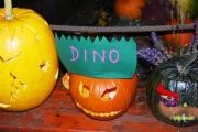 DINO 2015 030
