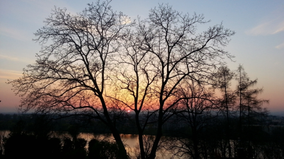 20140328_180818-7251f11cc7b98b7f3296416583671700eb660687