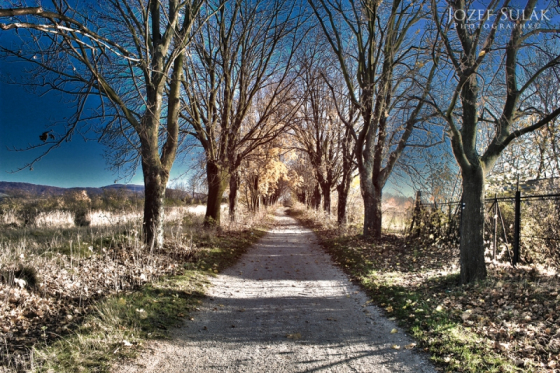 img_3588cm-4a2f8bfed5a652605744f33e84e8f4620e60ddba