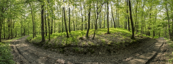 pn1-98021124daaa90d1dc150c5523f8ec5ec1663f5a