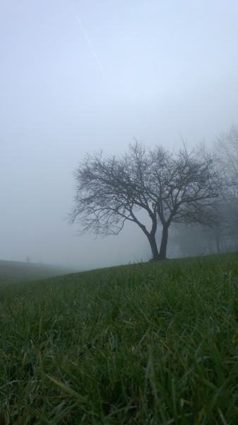 wp_20131221_079-d3a9e1c388adc3ad18c98aceb006e56b440b0ae4