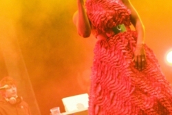 grape-sobota-2012-37