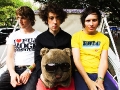 wombats3