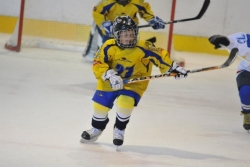 hokej-mini-05