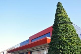 vianoce-obchody-titl