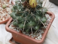 wth_20110605_8046