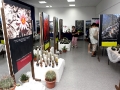 wth_20110605_8050