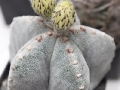 wth_20110605_8073
