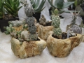 wth_20110605_8100