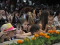 mg_7932-28