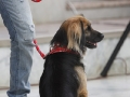 wth_20110625_1192