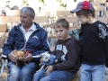 wth_20110625_1207