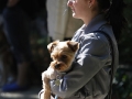 wth_20110625_1221