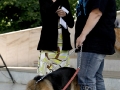 wth_20110625_1236