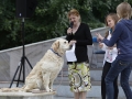 wth_20110625_1259