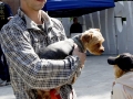 wth_20110625_1282