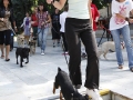 wth_20110625_1283