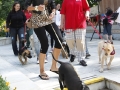 wth_20110625_1285