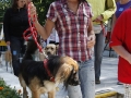 wth_20110625_1287