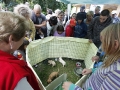 wth_20110625_1313