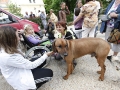 wth_20110625_1319