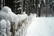 Šumava 2012